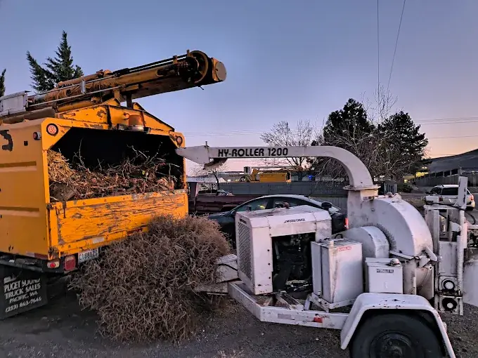 Brush chipping operation