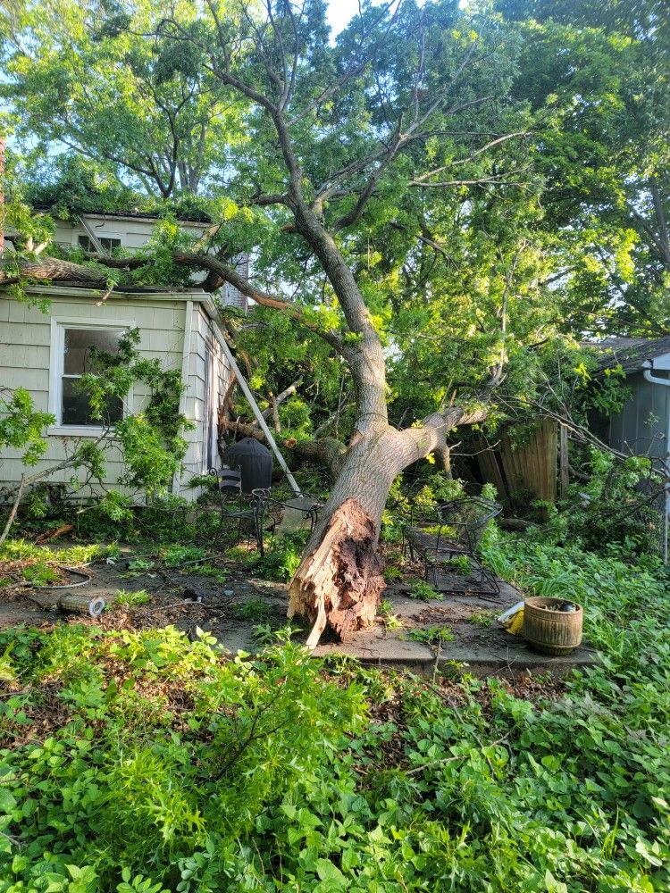 Emergency Tree Removal