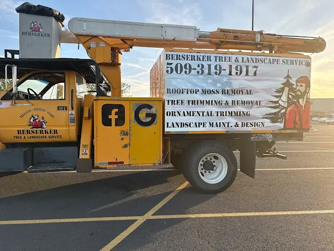 Removal job